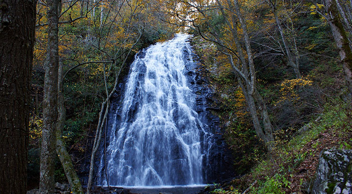 four reasons crabtree falls