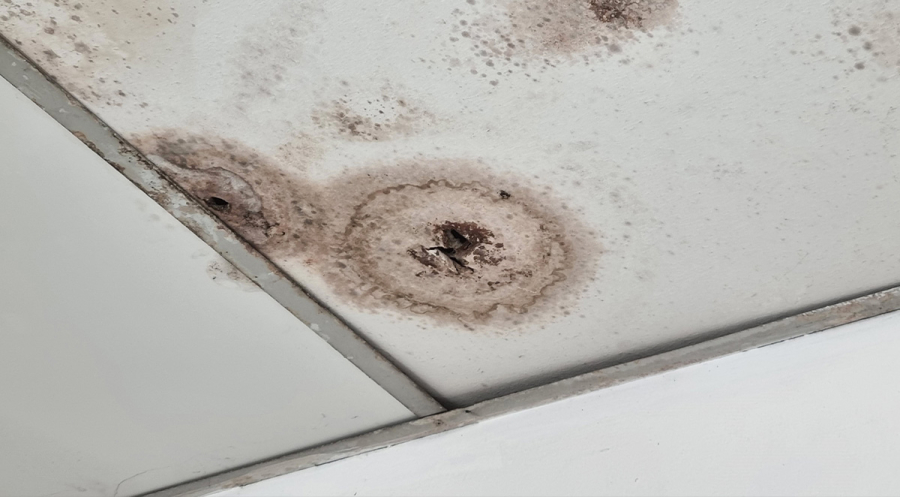 How To Handle Water Leaking Through Your Ceiling